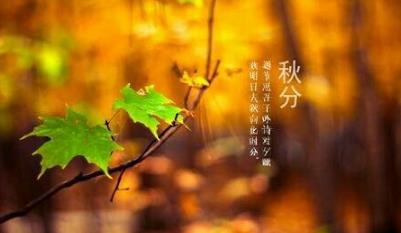 秋分节气怎么养生？秋分养生要注意些什么？