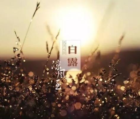 白露至秋意浓什么意思？白露时怎么养生？