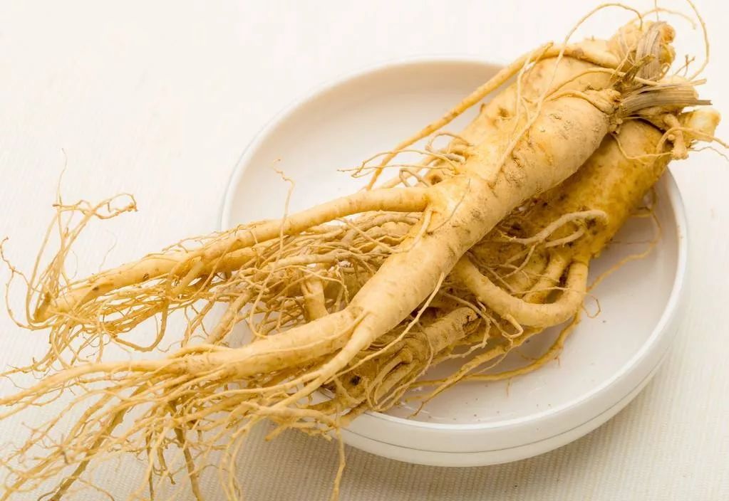 人参除了补气血外你还知道什么功效？浅析人参食用方法！