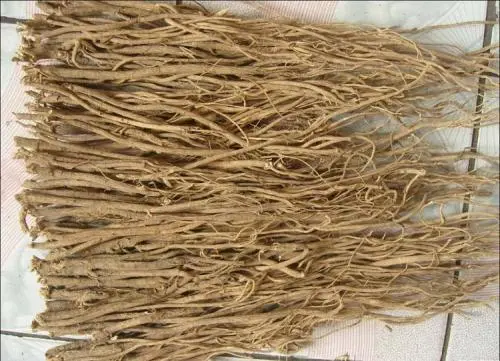 黄芪可以每天泡水喝吗？但这几个情况不要喝！