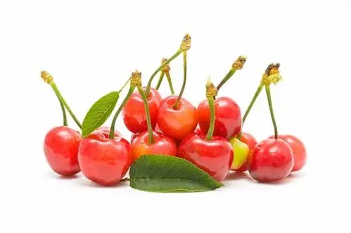 樱桃吃多了会怎么样？有什么副作用？