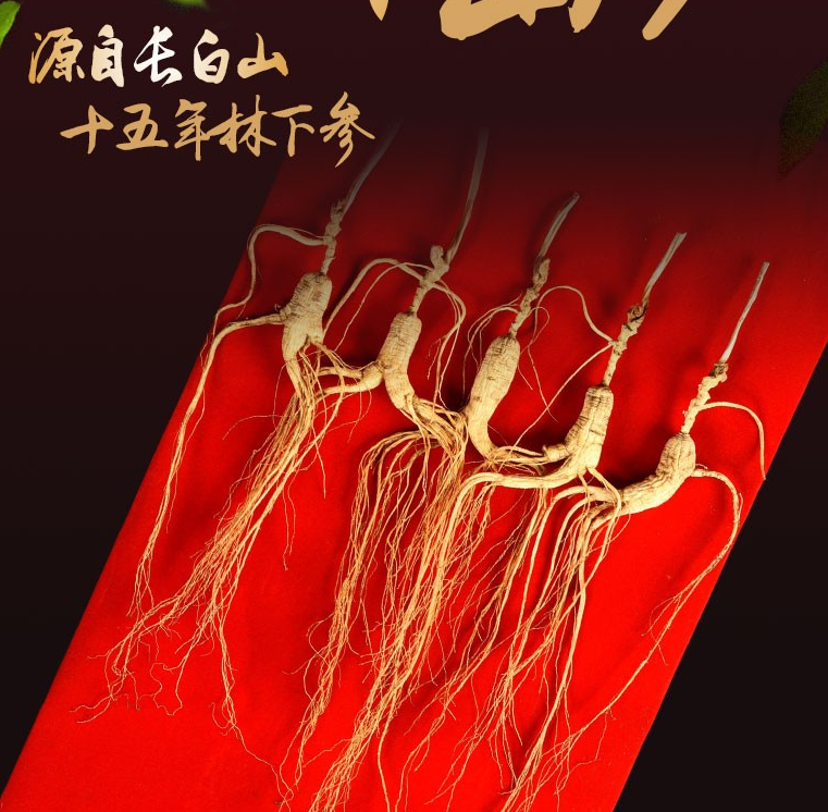 涌益堂长白山约15年野生林下干人参（5根送1根）