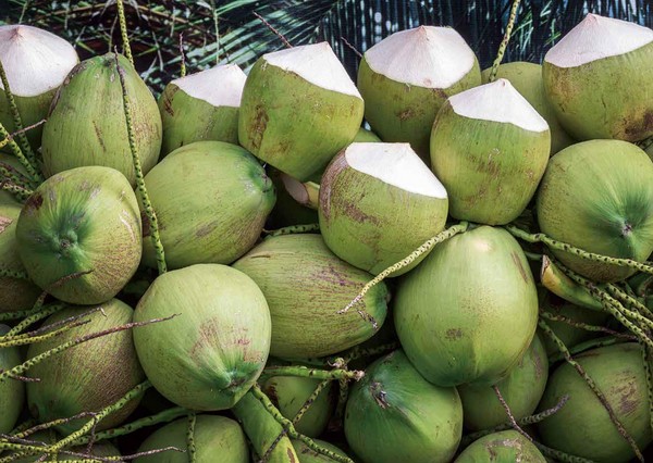 椰子是凉性的吗？有啥功效和作用？