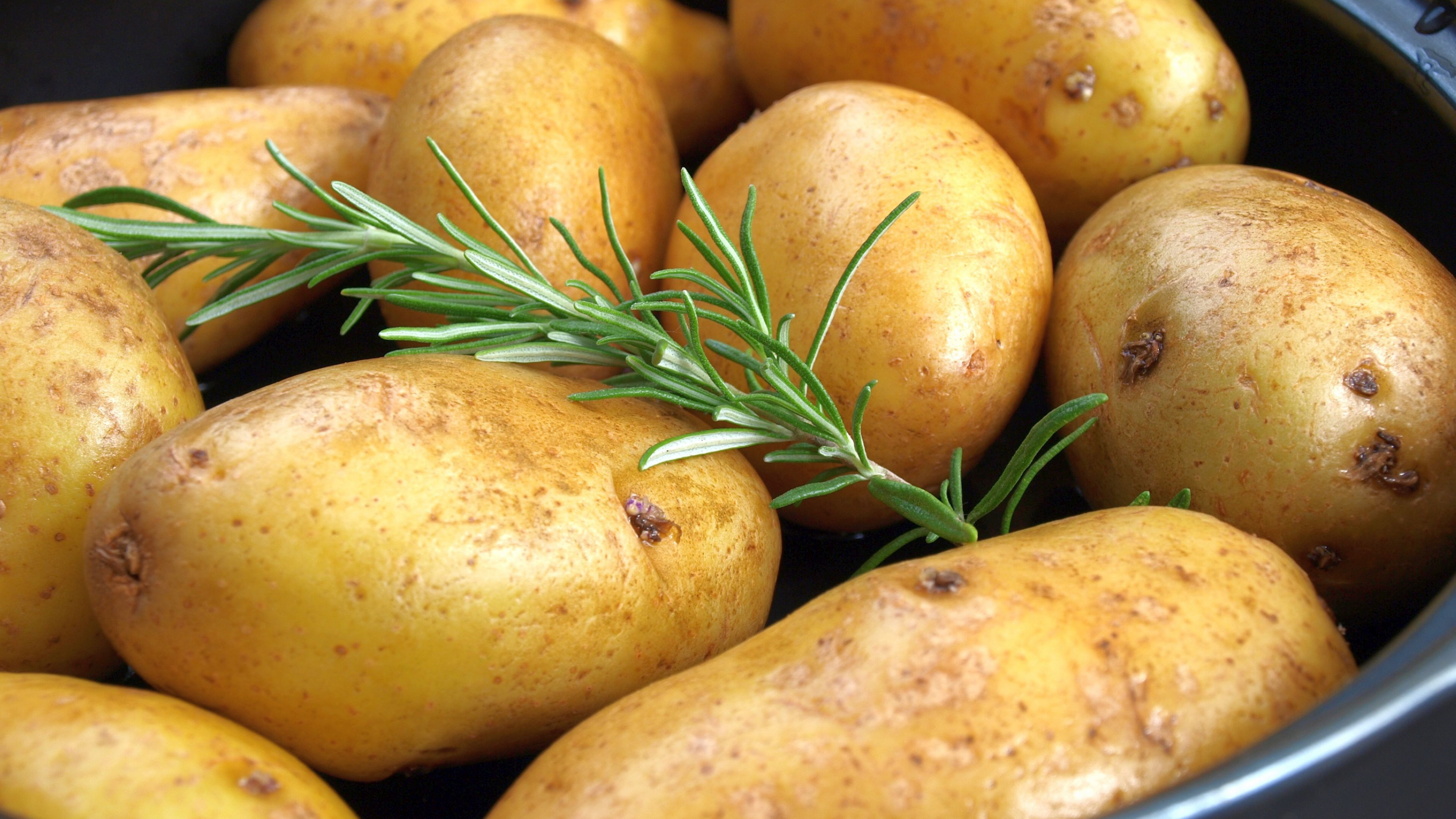 土豆发青还能吃吗？有毒吗？有啥功效作用？