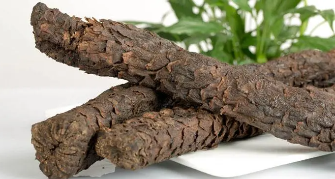 肉苁蓉怎么吃效果最好？吃肉苁蓉有哪些好处？